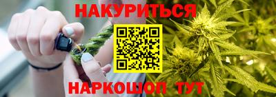 дмт Будённовск