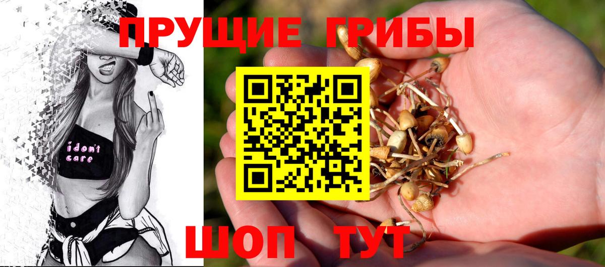 Галлюциногенные грибы мухоморы Южно-Сахалинск